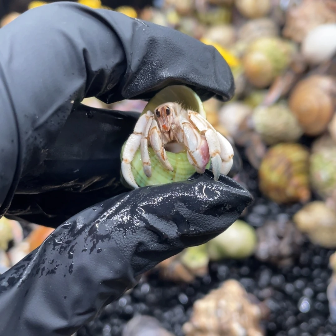 周****把x发哈哈哈给v分