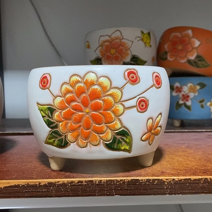 韩式多肉植物花盆