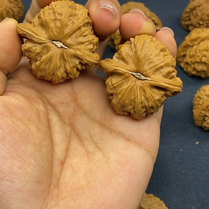 文玩核桃把件5号链接，40尺白狮子