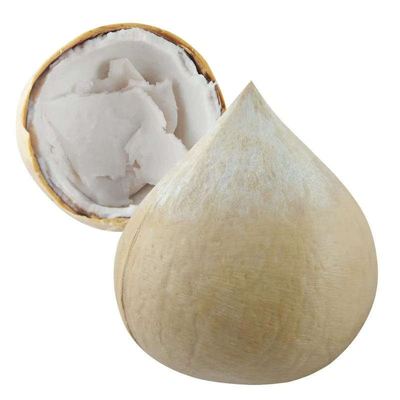 【京东顺丰次日达】椰皇  新鲜汁水清甜 1颗600克起 辽宁发货海南省