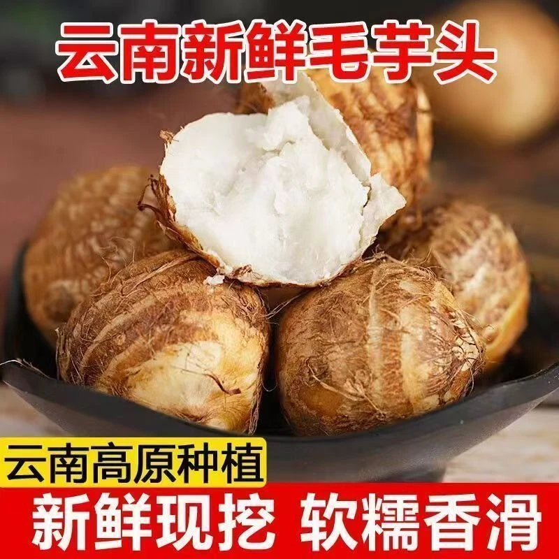 【超低价】云南牛奶小芋头正宗香糯高原毛芋头软糯芋1/3/5/9斤包邮