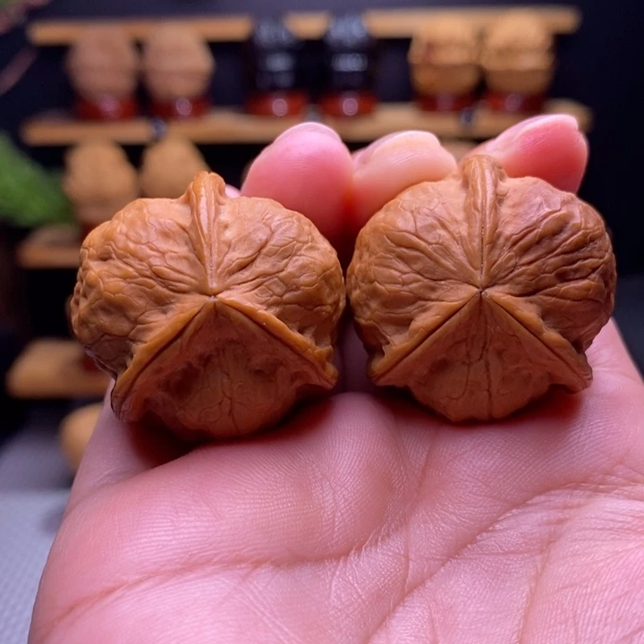 木质类云铁甲壳虫三棱8号