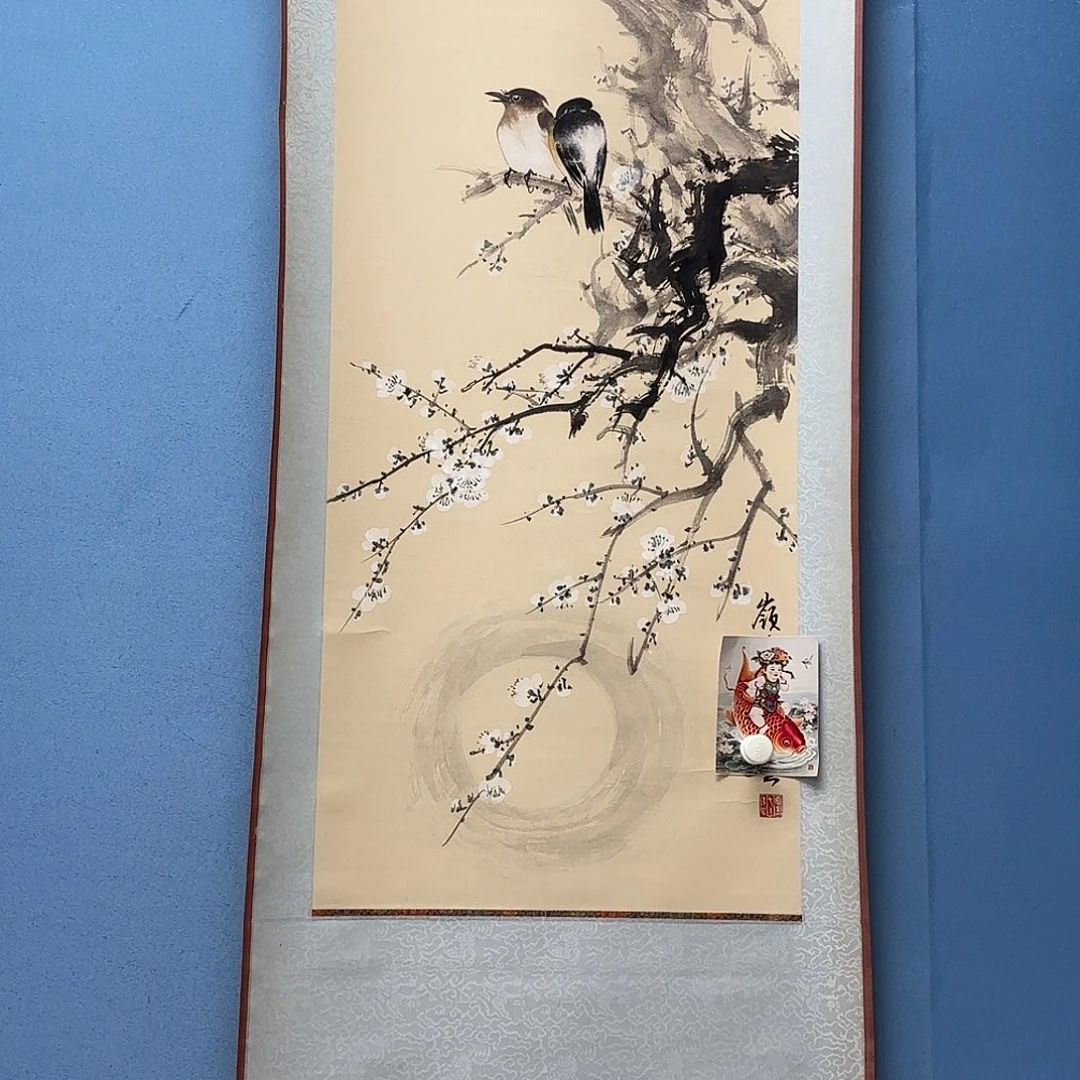老张专拍专用链接