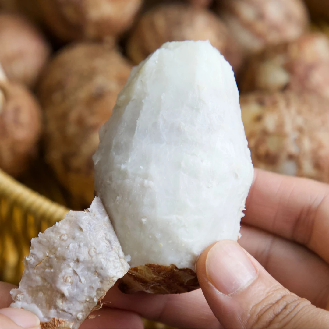 云南新鲜牛奶小芋头软糯粉香芋艿当季蔬菜