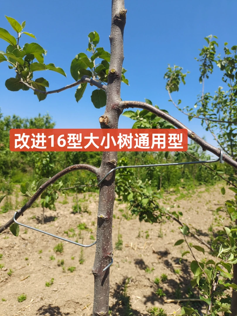 果树拉枝神器弯枝开角器分枝器工具果树压枝钩定型器改进型永德助