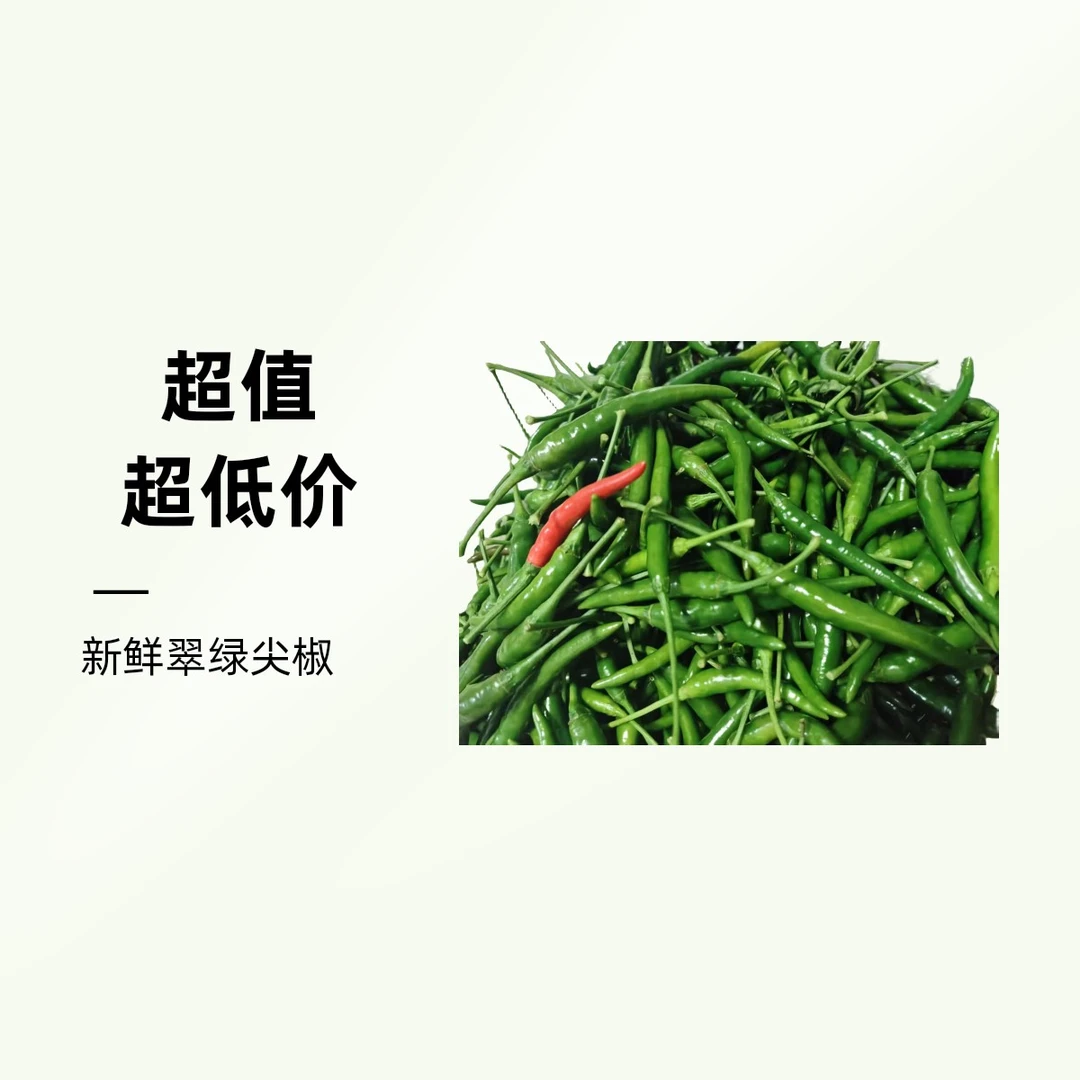 农村现摘现发新鲜邳州辣椒新鲜现摘现发邳州本地正宗的农家土辣椒
