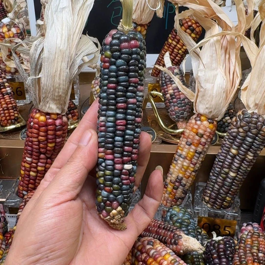 柏香籽/百香籽吊坠琉*