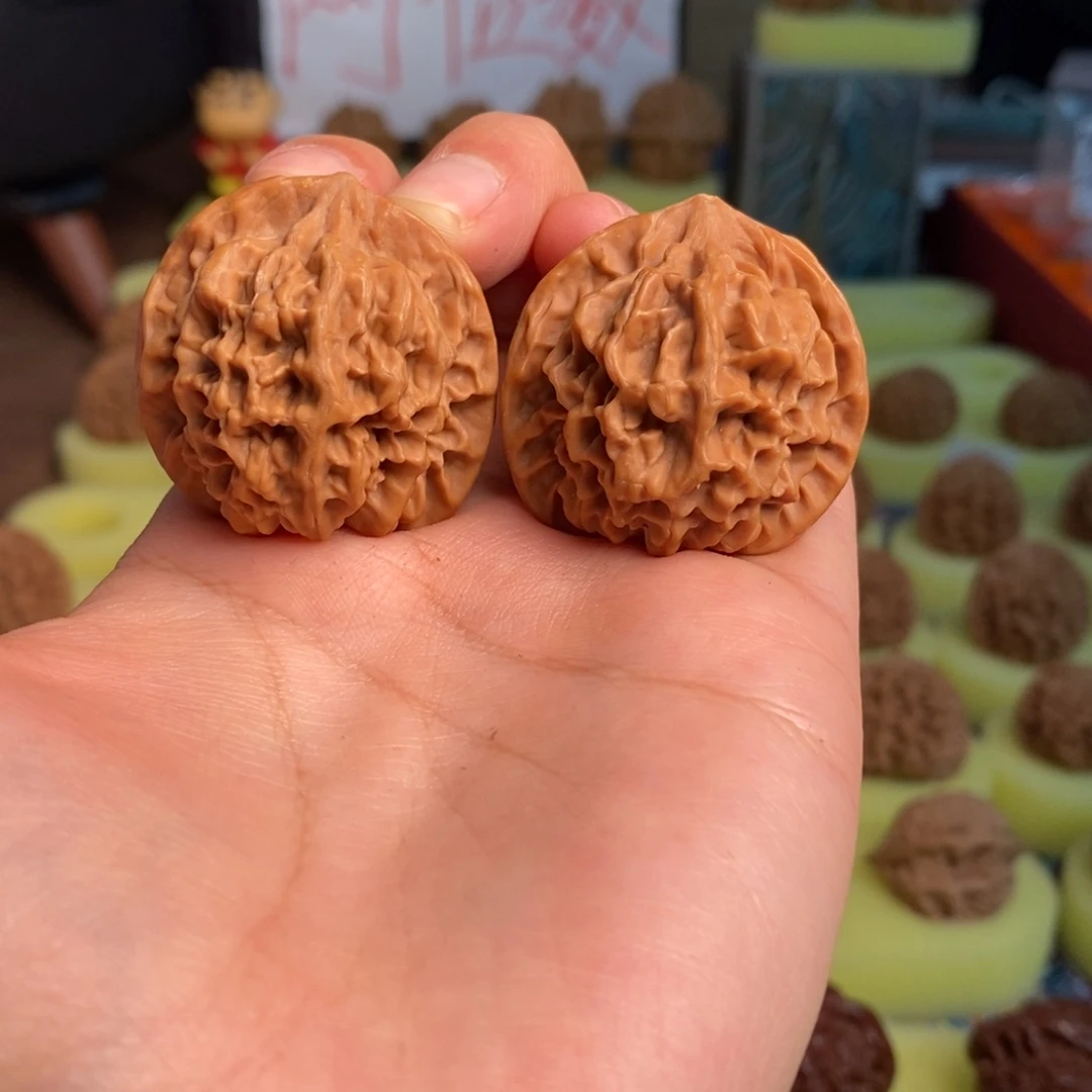 核桃秦岭大花35尺寸