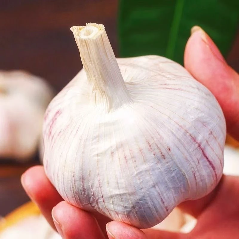 【农家干大蒜】农家自种家常干大蒜香味浓郁批发价放心购