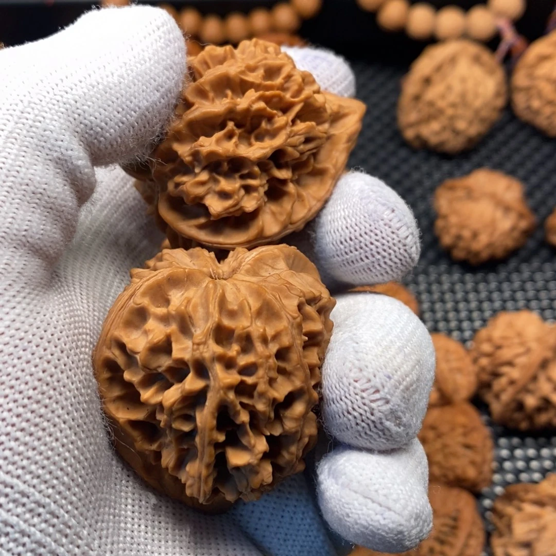 一***过秦岭森林中发现过几