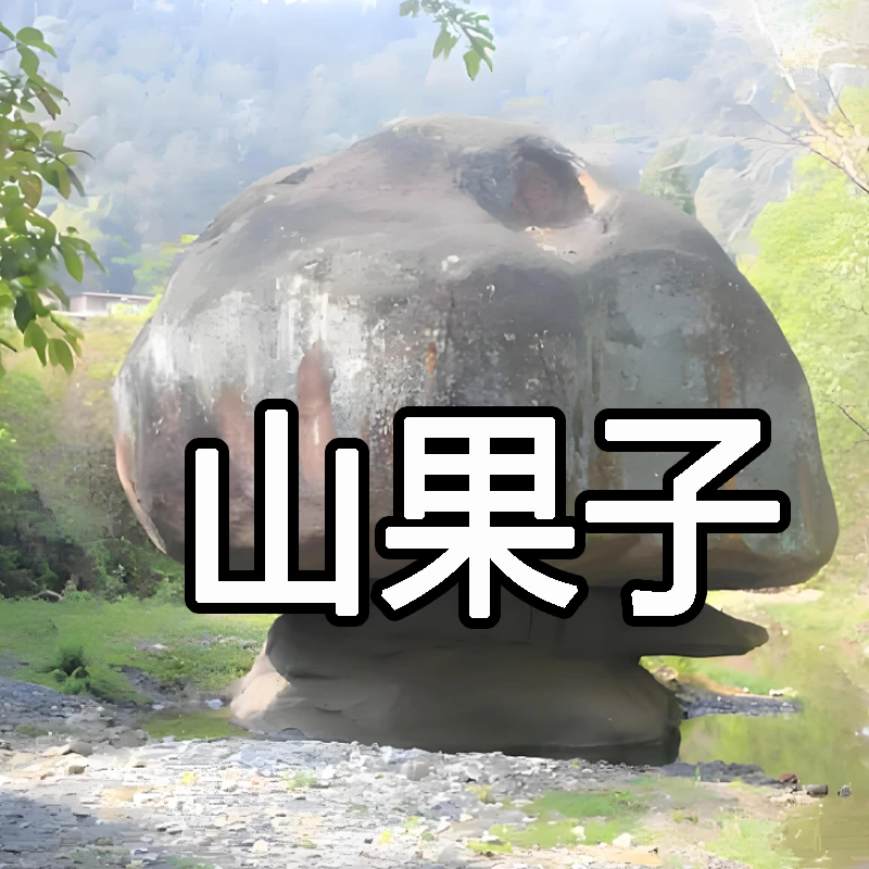 农村山货自采山果子泡酒材料干货