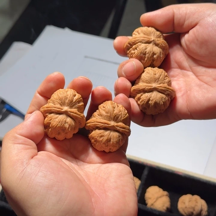 文玩核桃把件562号40mm全品元宝