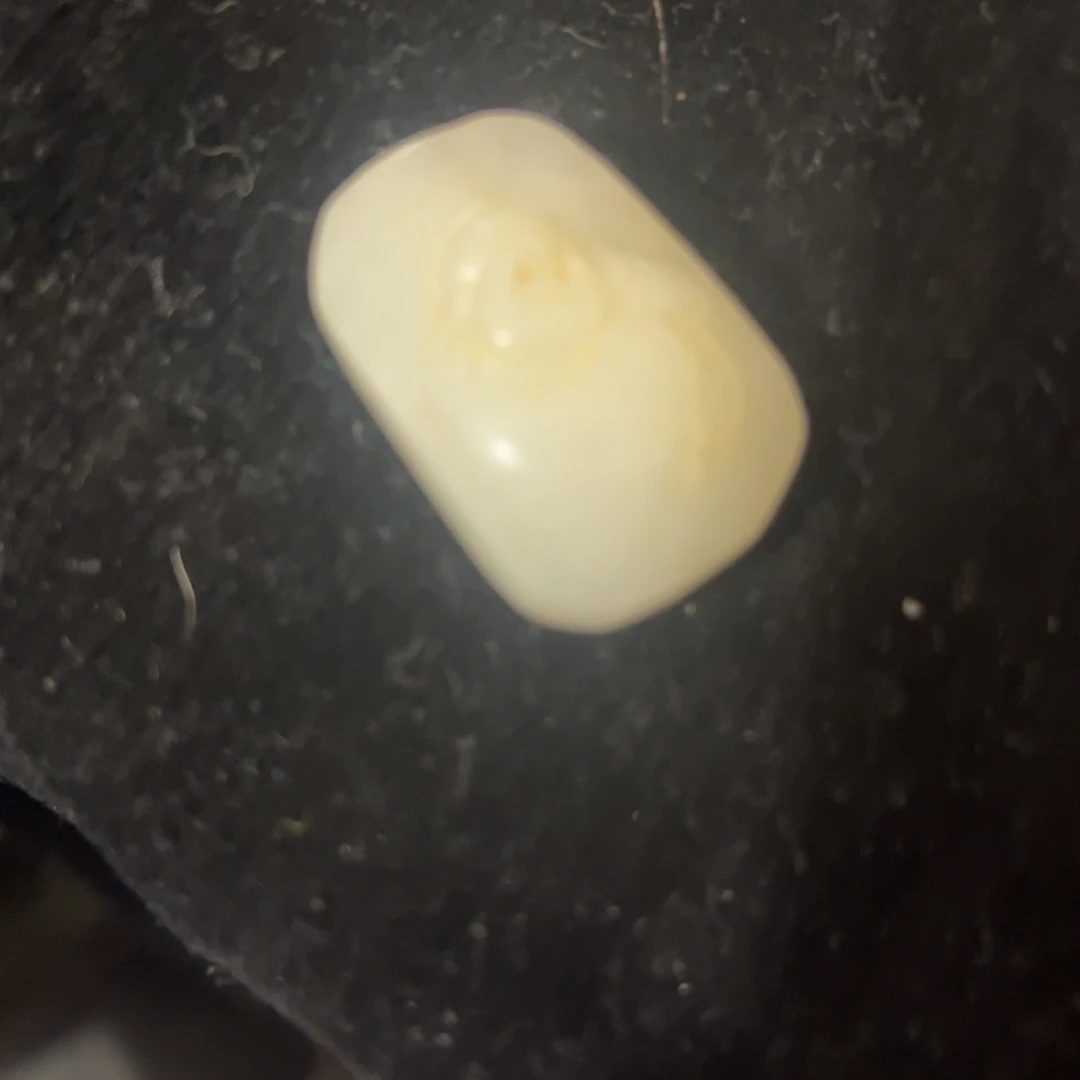 缸在**枝v x c jin cv k c xv