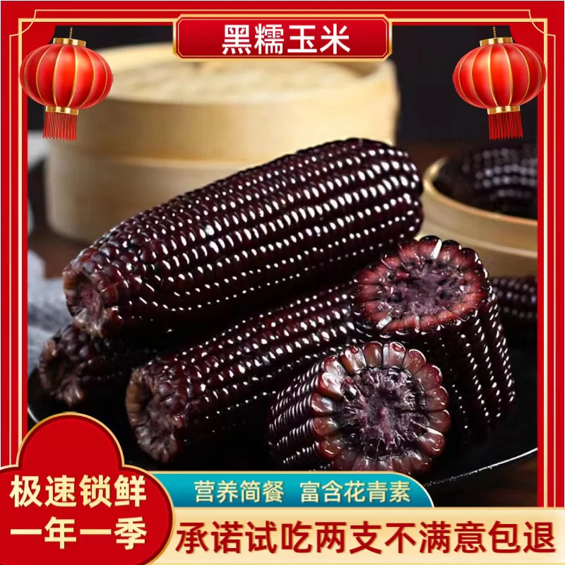 24年头茬东北真空黑糯玉米（一箱10支）