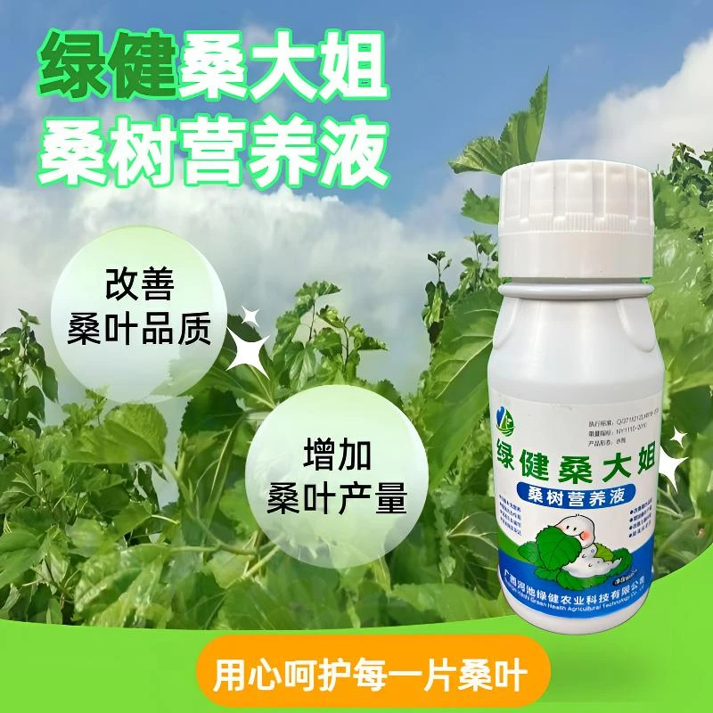 绿健桑大姐桑树营养液500mL