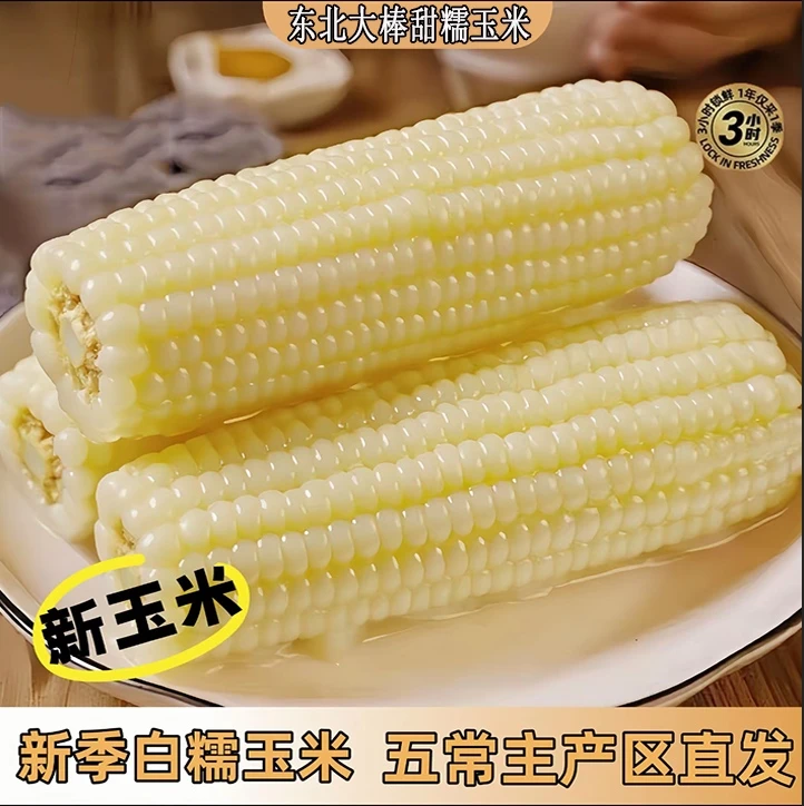 试吃2支东北黑土地种植白糯玉米透明真空包装12支7-8斤