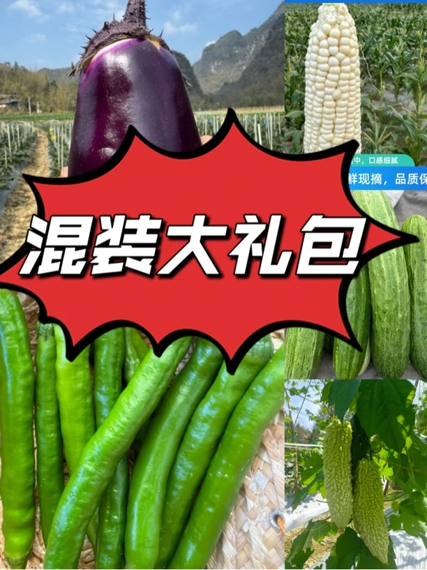 【混装】现摘现发 自然生长