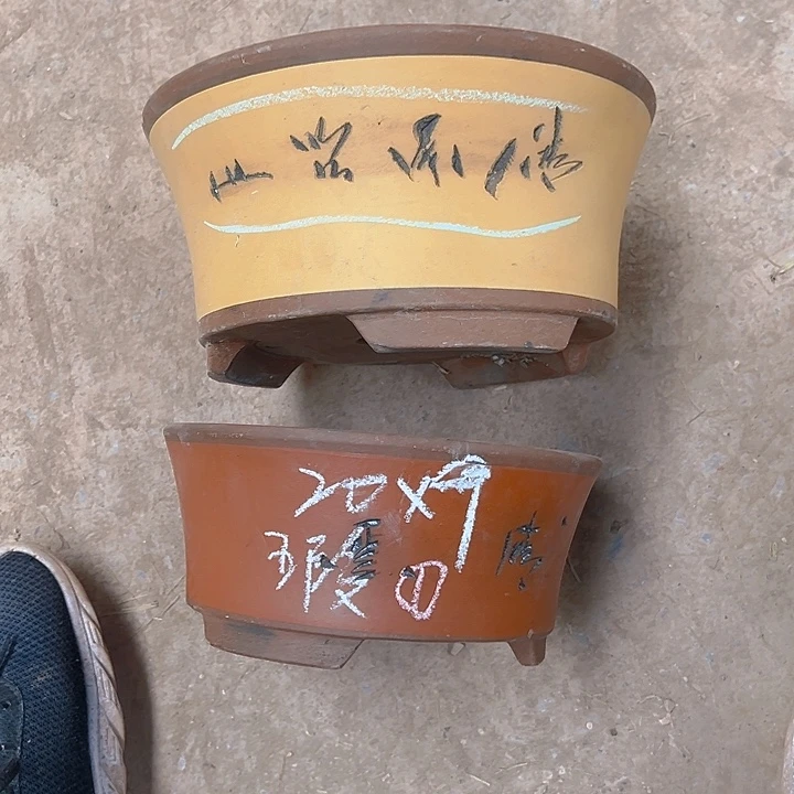 简****?紫砂艺术学院美术