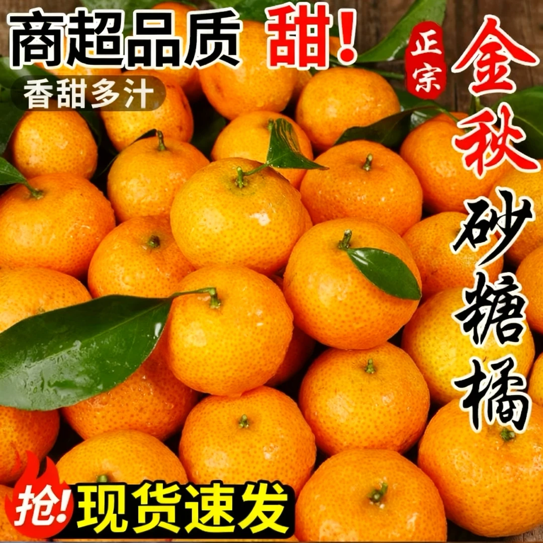 金秋沙糖桔新鲜细嫩现摘现发香甜多汁