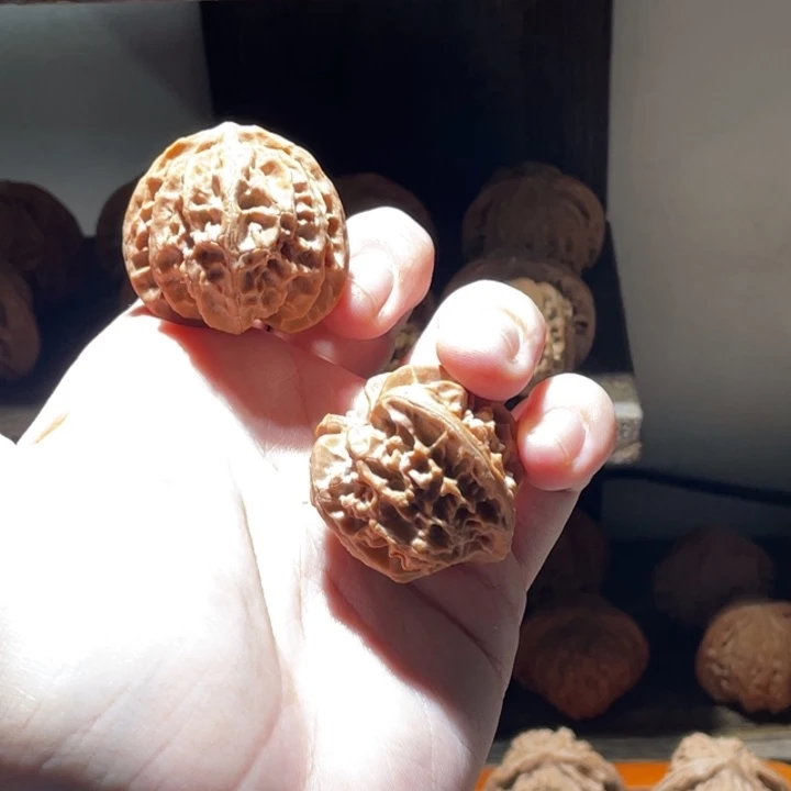 文玩核桃把件38全品苹果园福利2