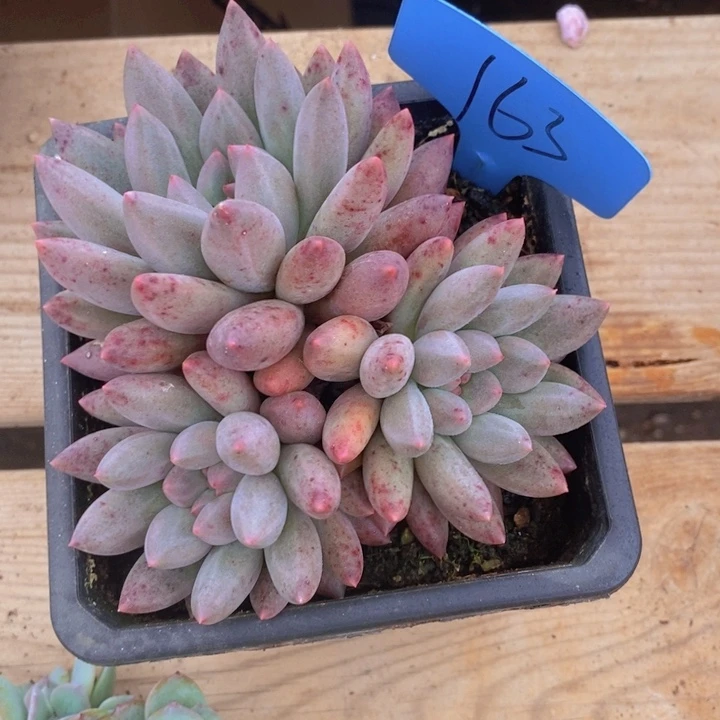 这么早还没有下班么