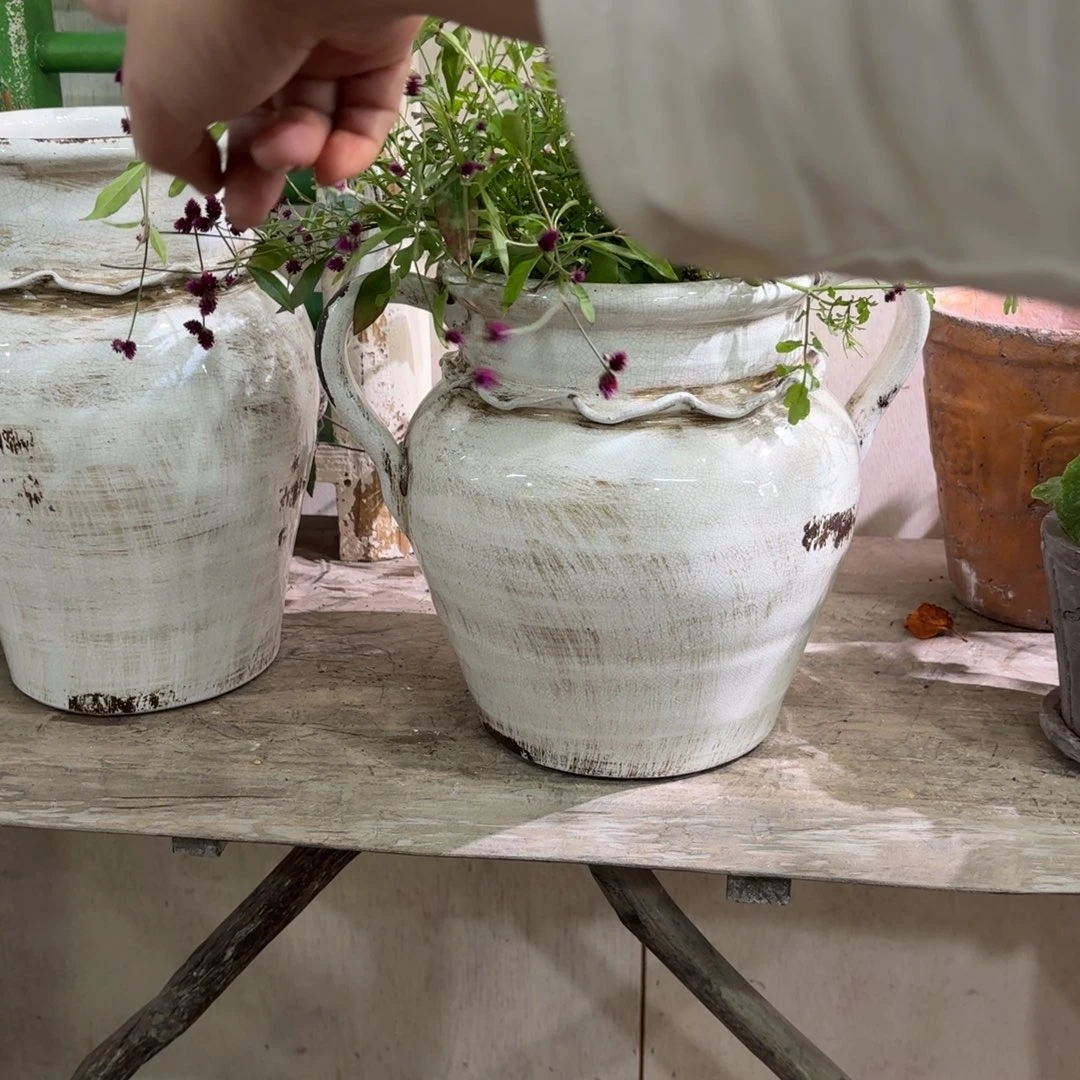 许纯的花房 手拉双耳矮款