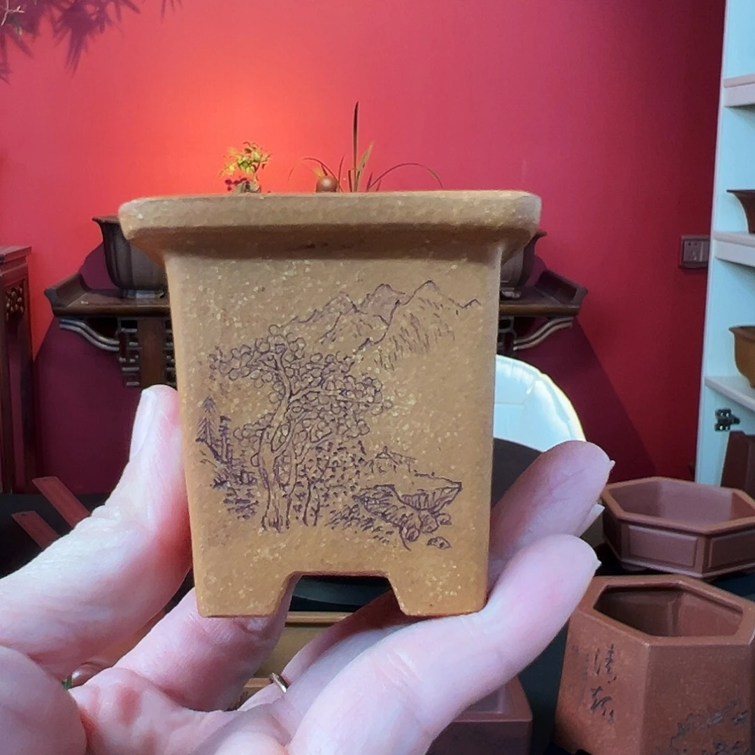 1***2花盆紫砂紫砂花盆