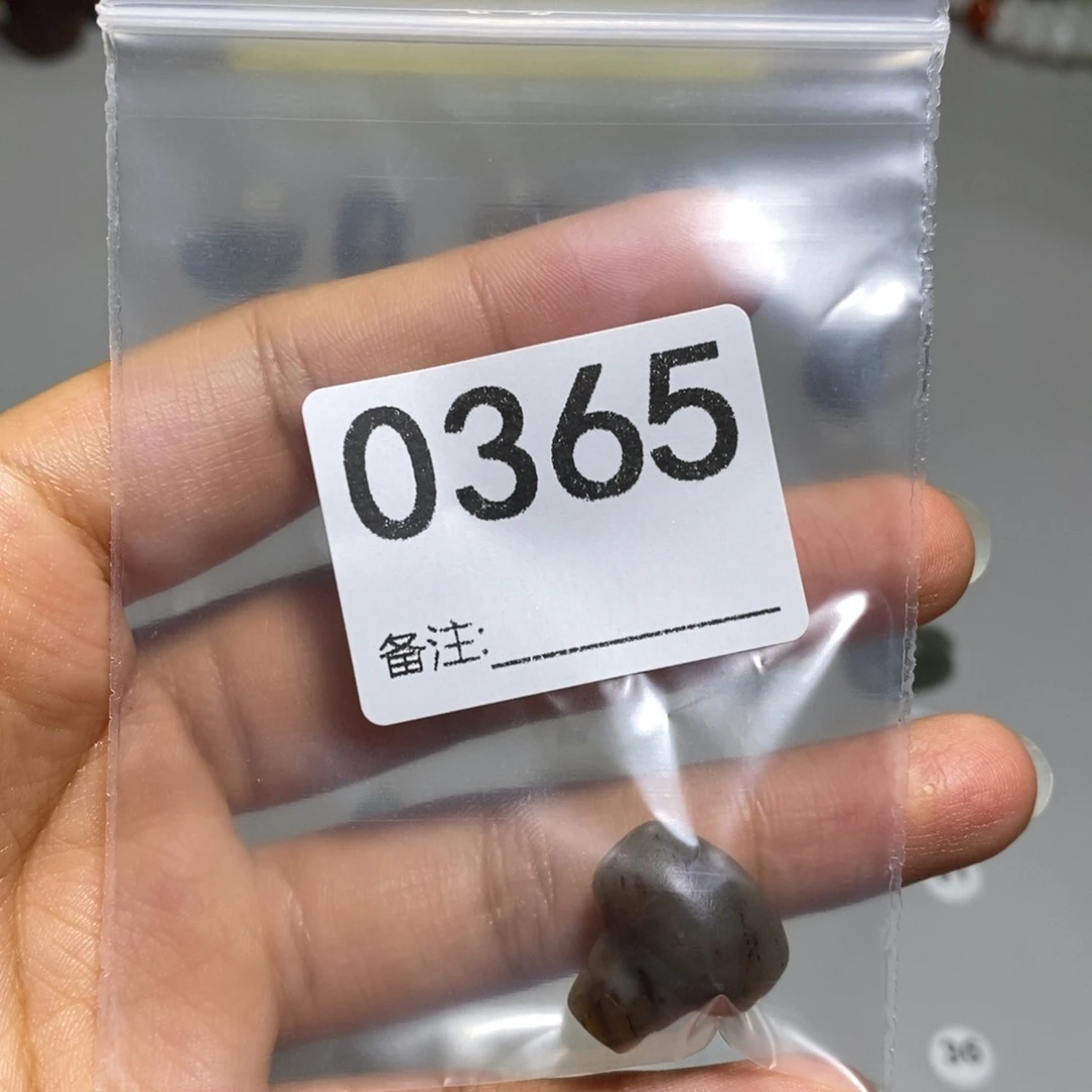 颈饰未镶嵌透闪石质玉韩*