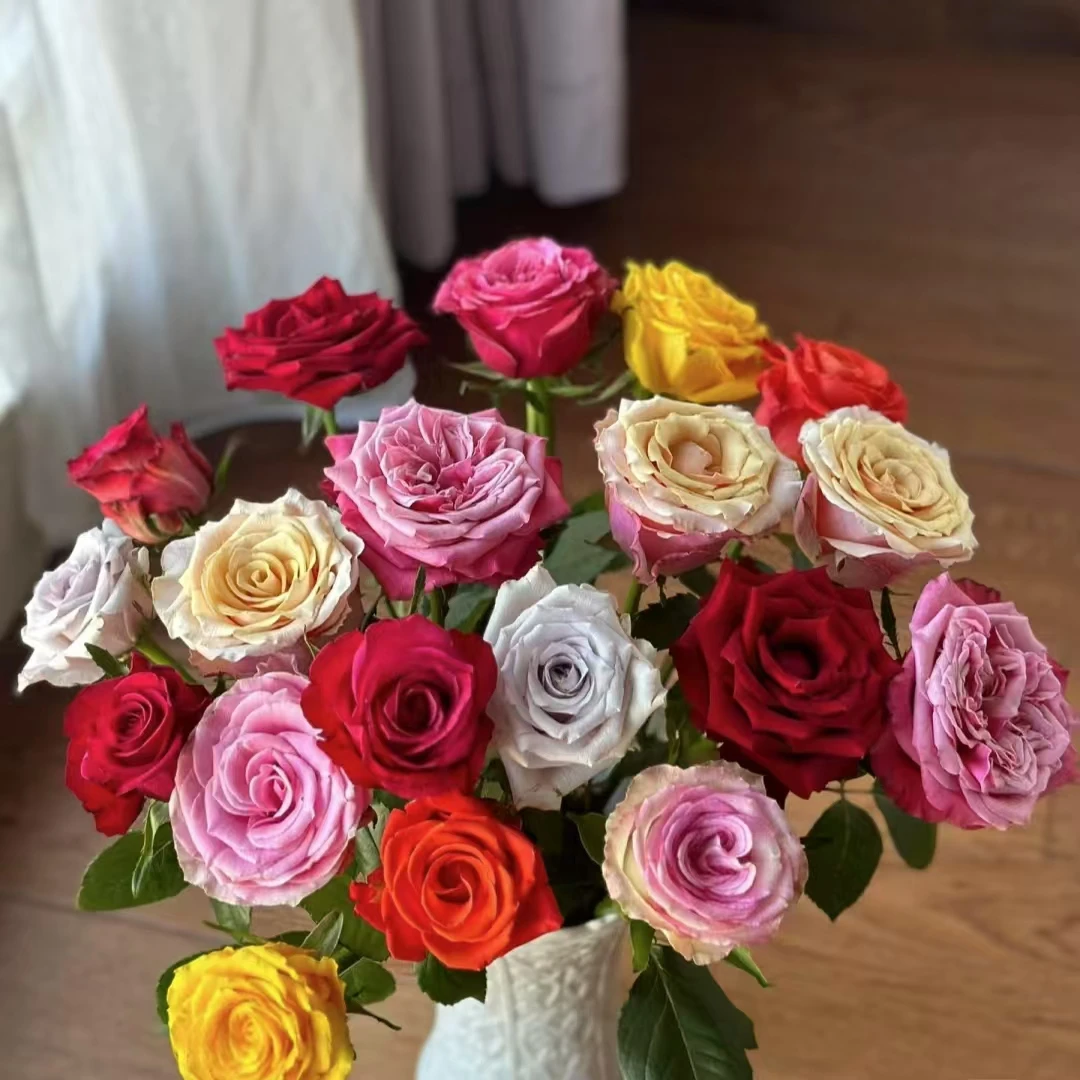 【A级混色玫瑰10枝】A级玫瑰70-75cm室内水养昆明直发包邮