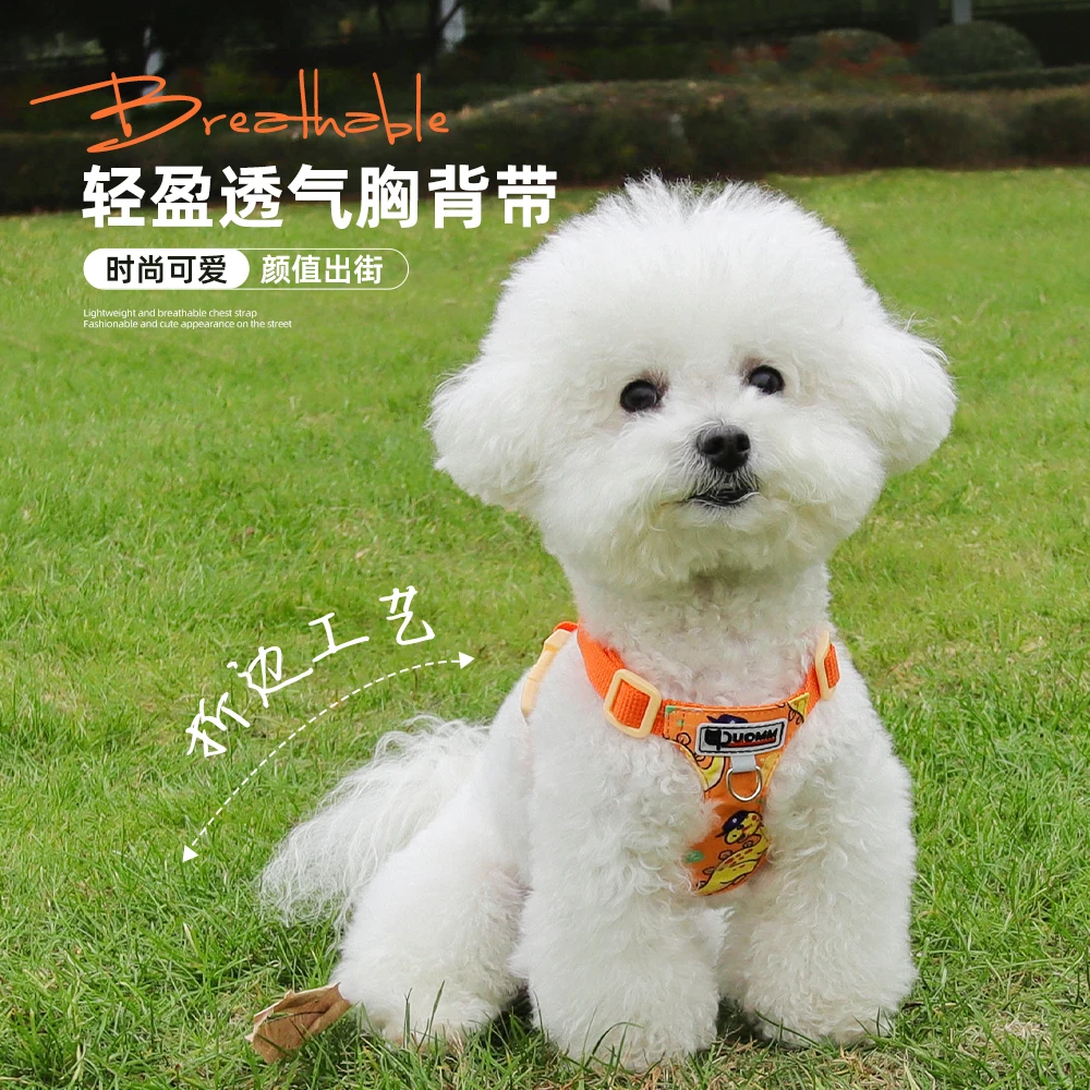 朵猫猫【福利专属】小狗牵引绳背心式胸背带轻盈透气遛狗绳比熊绳子