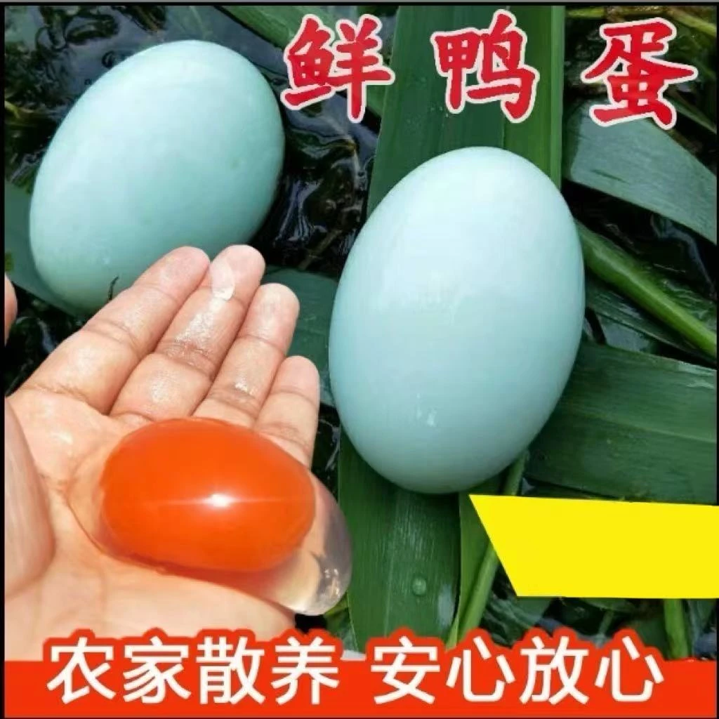 特大散养土鸭蛋新鲜20枚一盒现捡现发