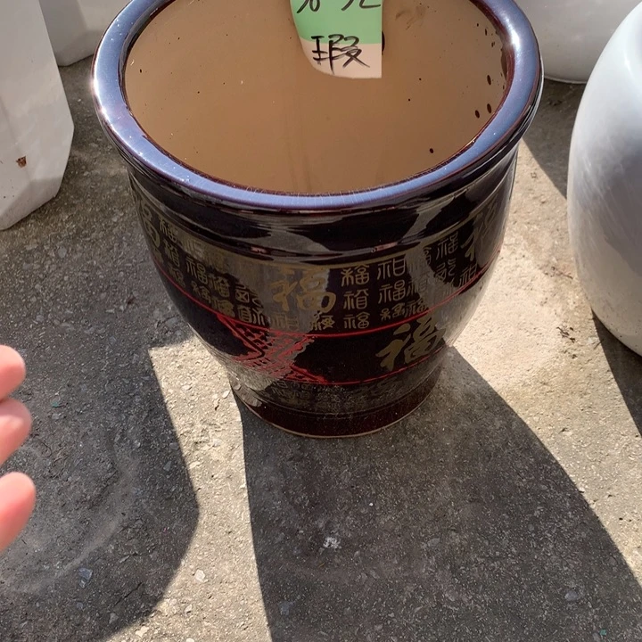 花盆的颜色是蓝色的还是蓝色呢色呢