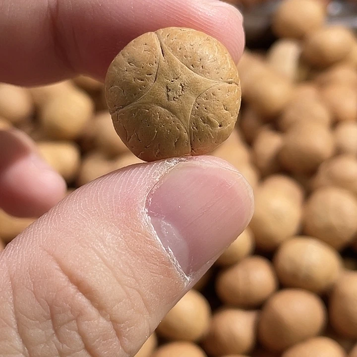 吊坠凤眼菩提尼泊尔小凤眼