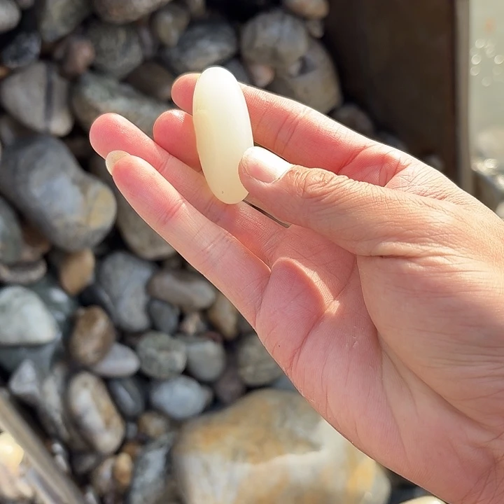 和田玉（糖玉）未镶嵌珠宝奇石