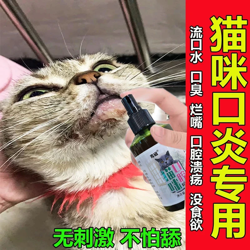 猫咪嘴角烂猫咪口腔消炎流口水猫咪嘴角红肿猫口炎严重猫口炎喷剂