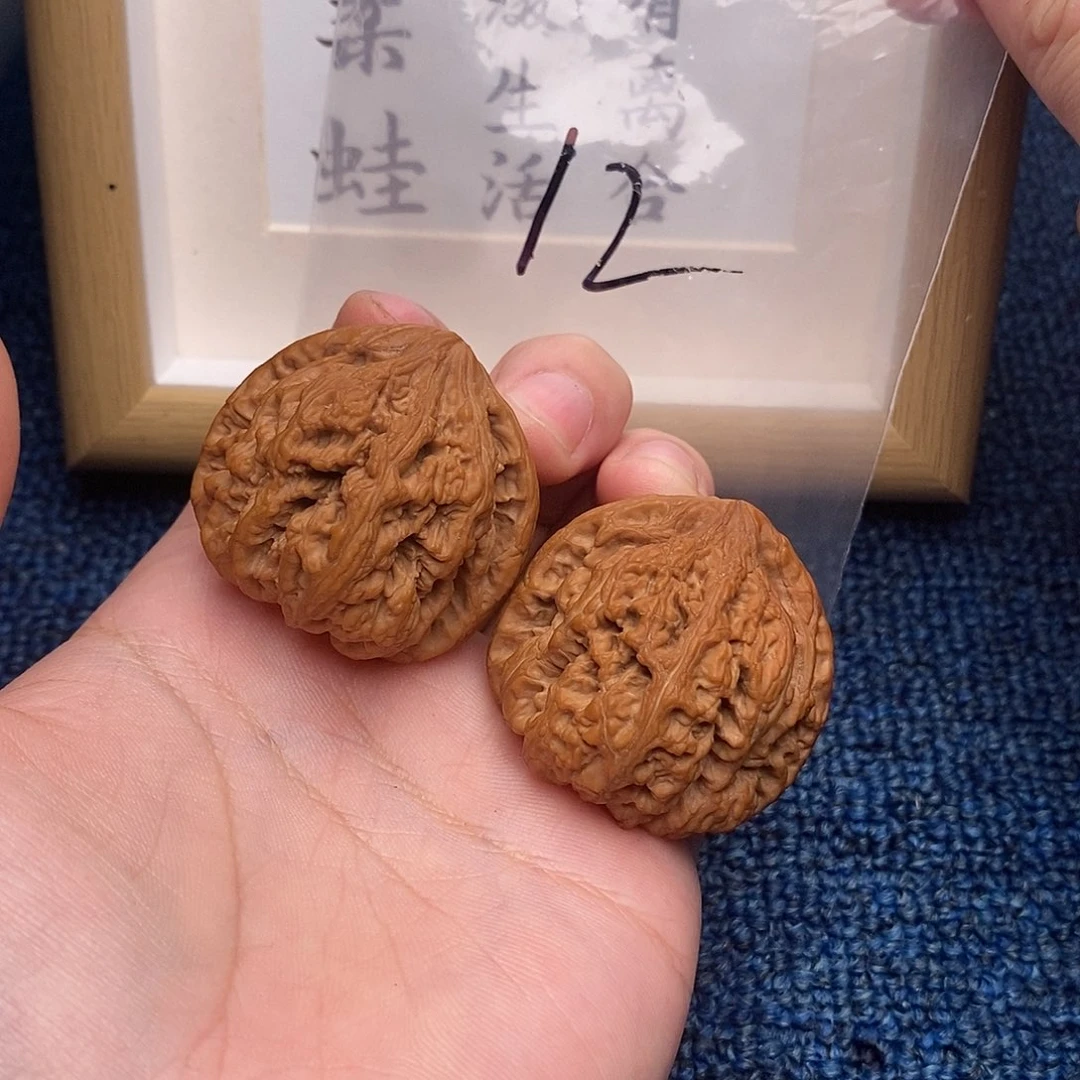 把件文玩核桃粗筋40尺全品，原桩，