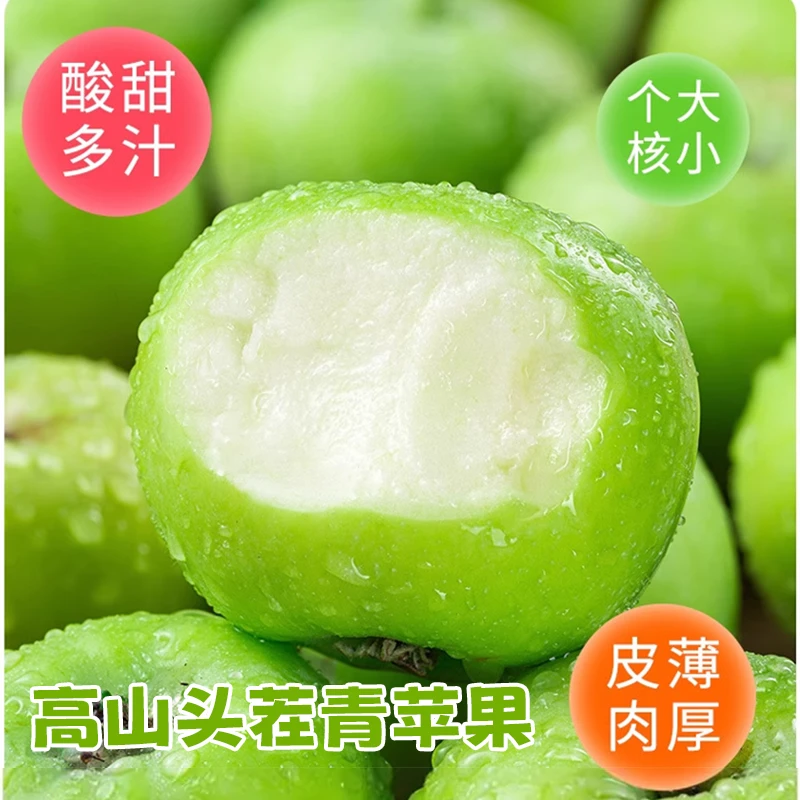 【高山头茬青苹果】【酸甜脆爽】应季新鲜现摘青苹果适合孕妇的水果