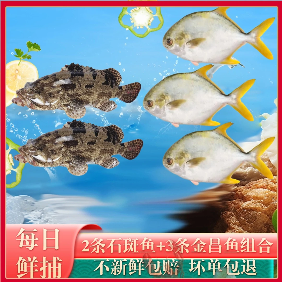 龙胆石斑鱼老虎斑2条+深海金鲳鱼3条  湛江本港海鲜海味共3.8-4斤