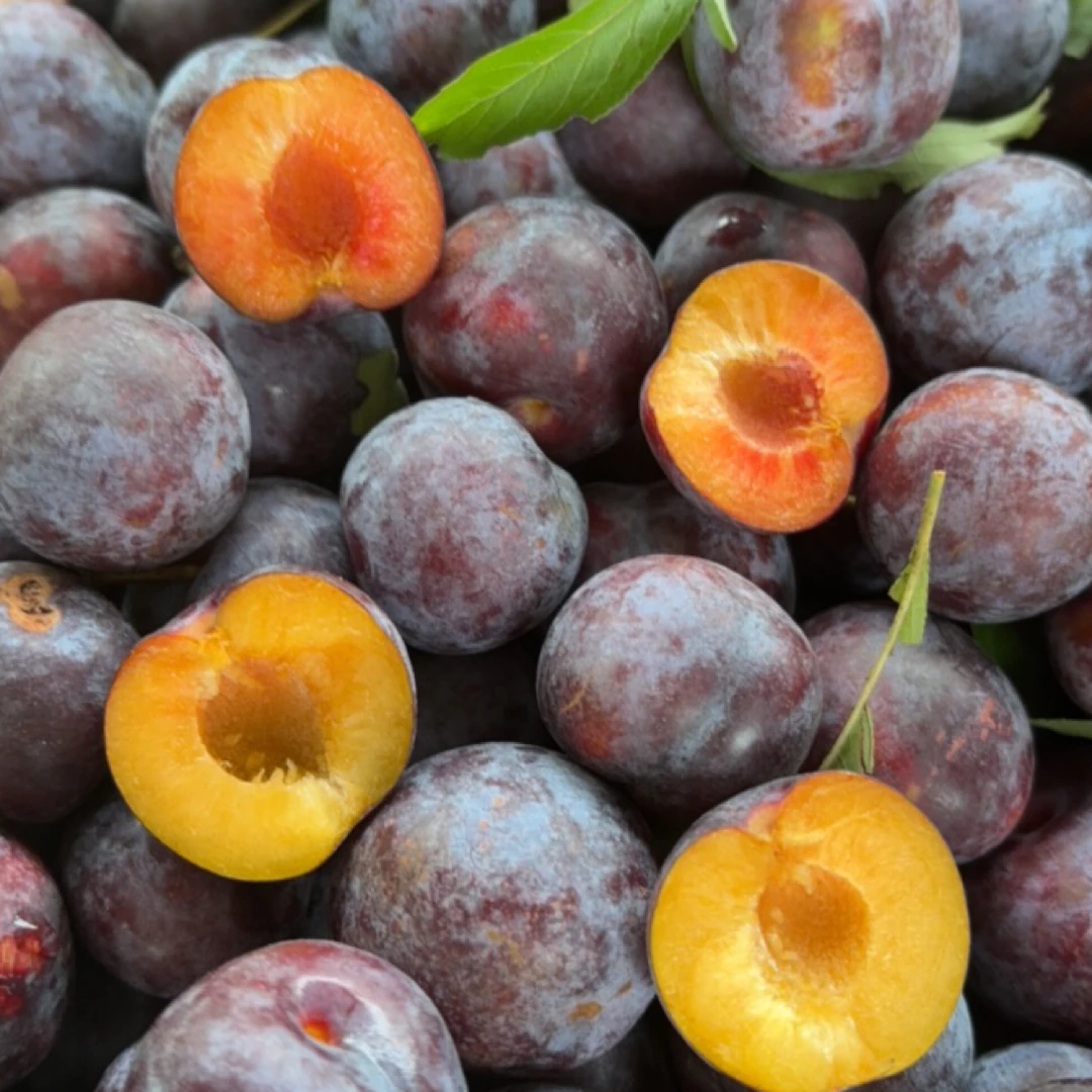 重庆高山现摘现发脆红脱骨李子新鲜当季脆甜水果