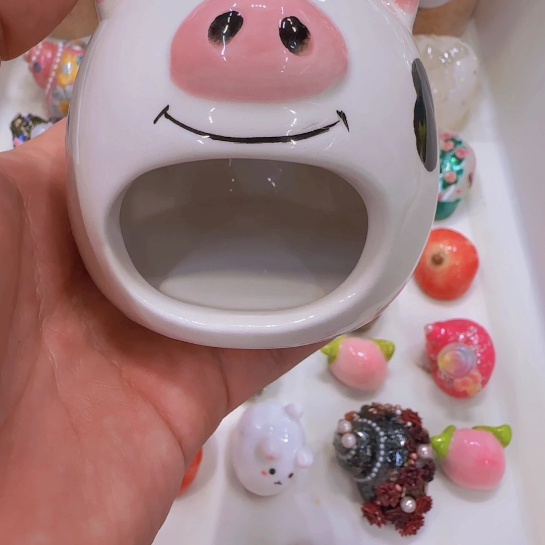 寄居蟹的小躲避屋