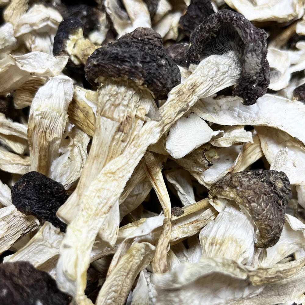 云南高山黑松茸菌农家干货菌菇煲汤火锅食材