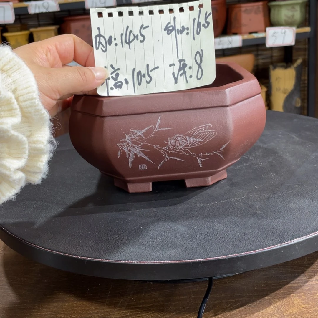 紫砂花盆紫砂花盆在这里