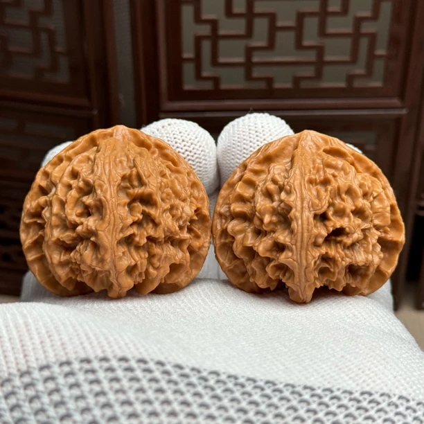 精选苹果园狮子头，边43肚42高37，三角桩苹果园，精配全品，一物一图