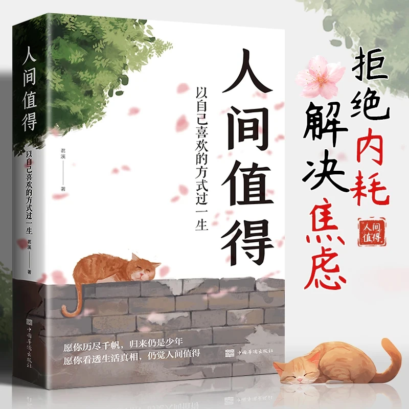 【人间值得】 以自己喜欢的方式过一生人生正能量成长心灵疗愈书籍