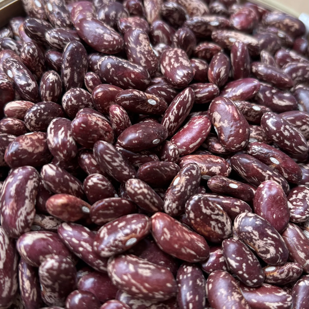 贵州新货饱满四季豆红芸豆花豆可做酸菜豆米