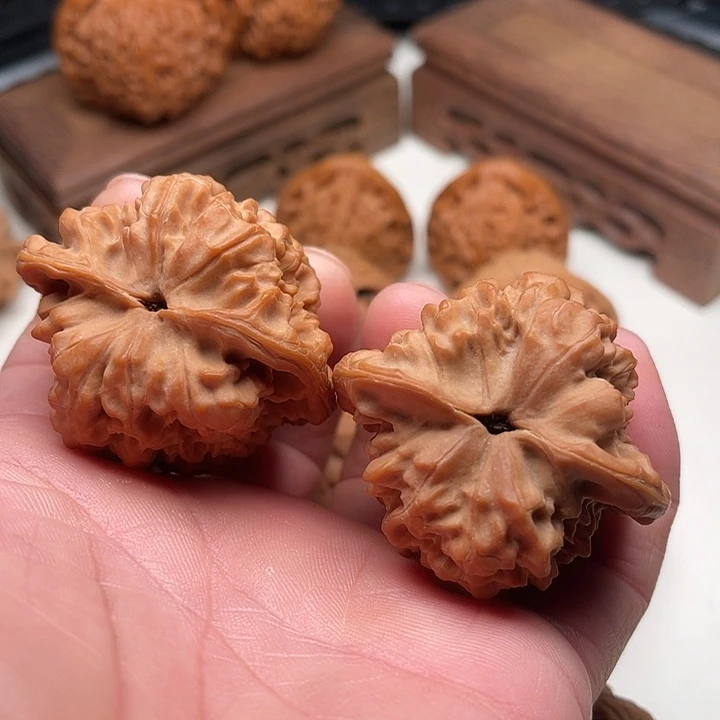 大叶紫檀（黑酸枝木类）
