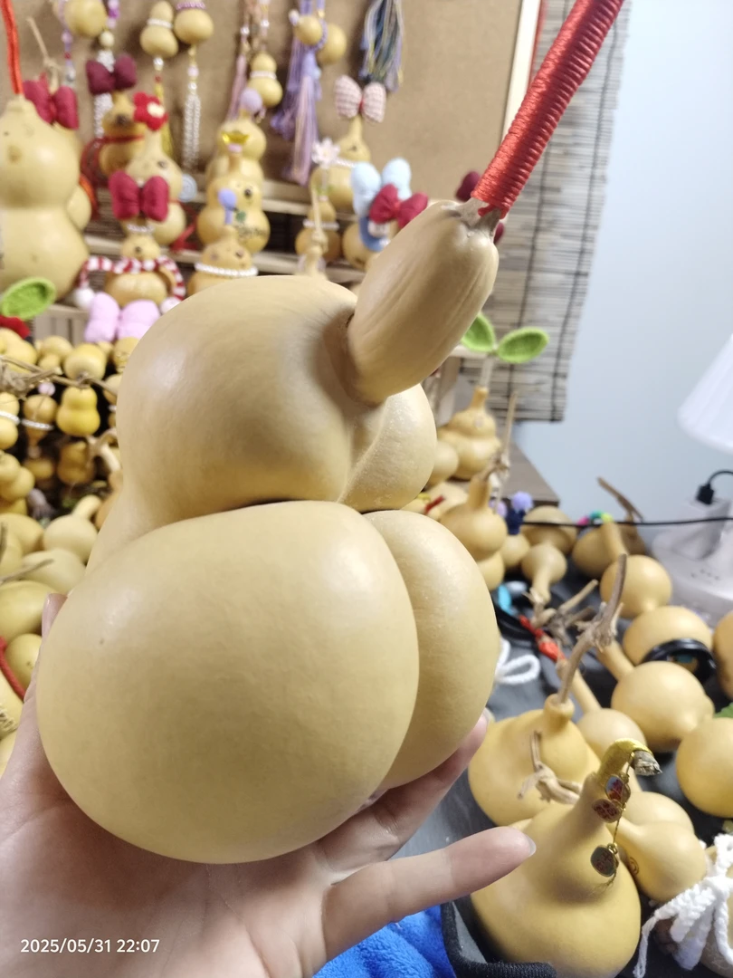 金蝉葫芦直播链接