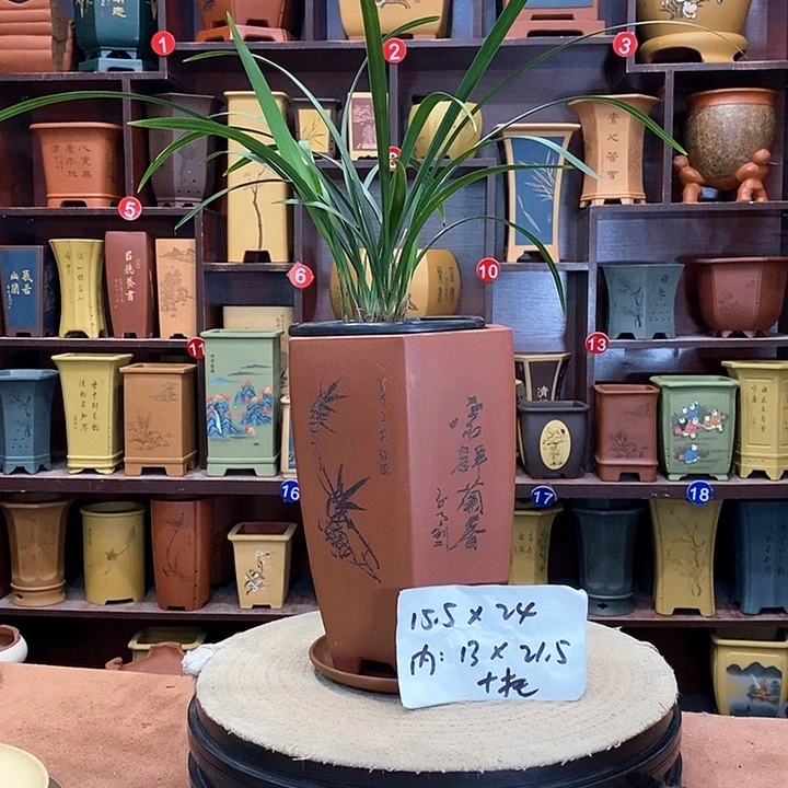 紫砂花盆紫砂花盆