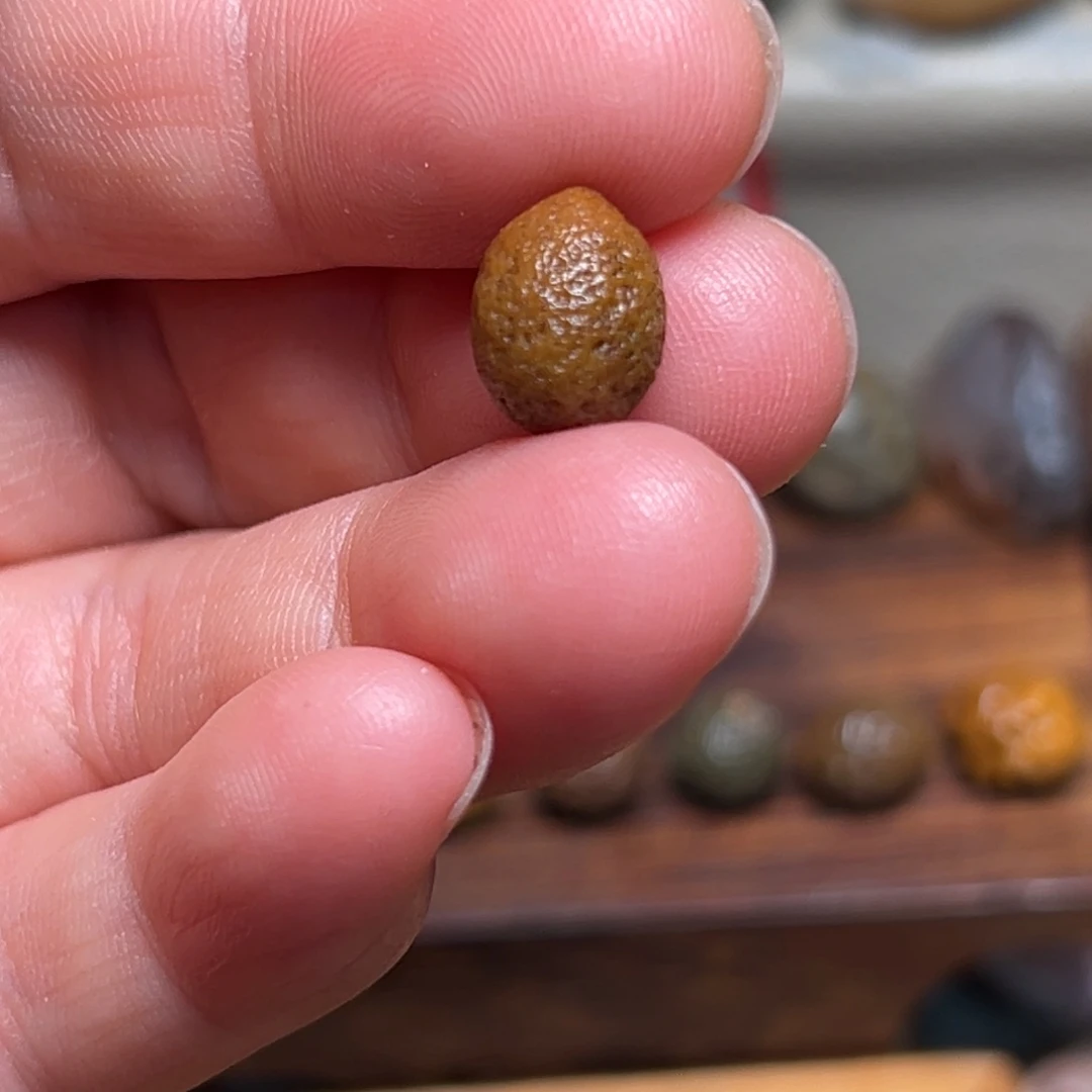 石材没*阿拉善戈壁奇石