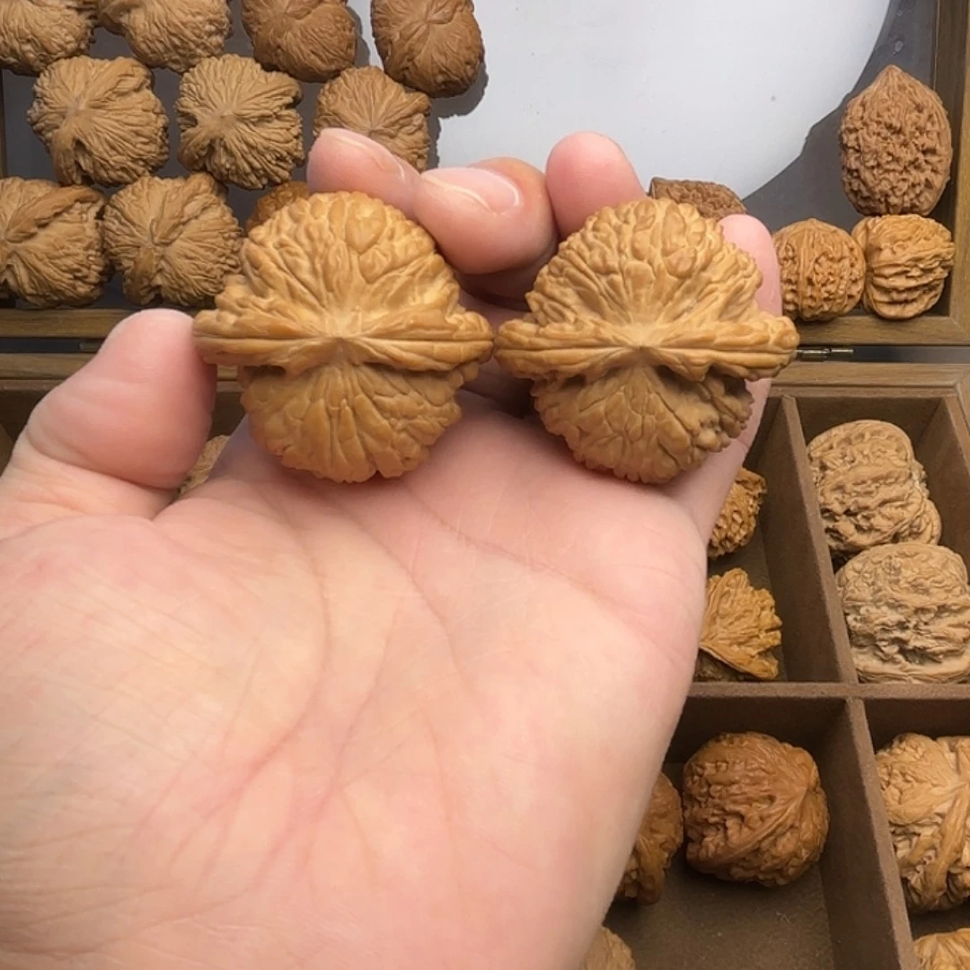 桃核吊坠45尺，白狮子